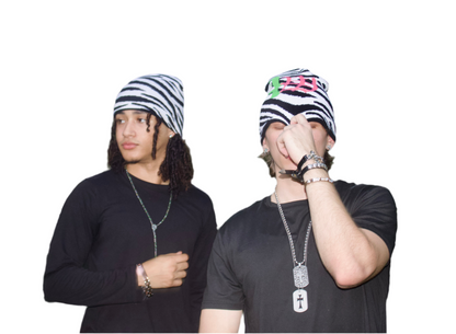Equid Beanie
